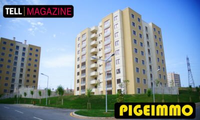 Pigeimmo