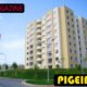 Pigeimmo