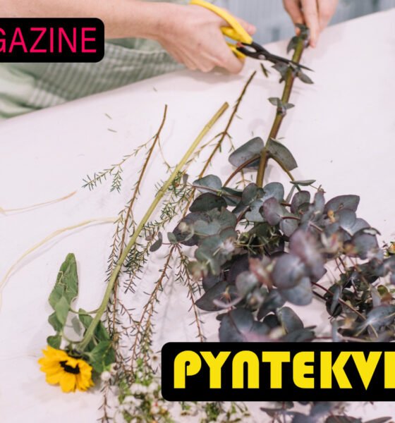 Pyntekvister