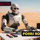 Ponas Robotas